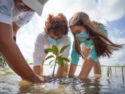 Cozumel | Participa Juanita Alonso en celebración del «Día Mundial de los Humedales»