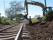 Deberá Fonatur hacer público estudio sobre impacto ambiental del Tren Maya