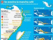 Prevén que aumente recale de sargazo en QRoo durante vacaciones
