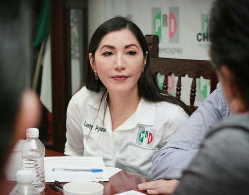 Renuncia Candy Ayuso a la dirigencia del PRI para competir por la diputación