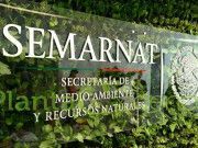 Condena GEMA descalificaciones de Semarnat a críticos y recuerda proyectos devastadores avalados por la autoridad