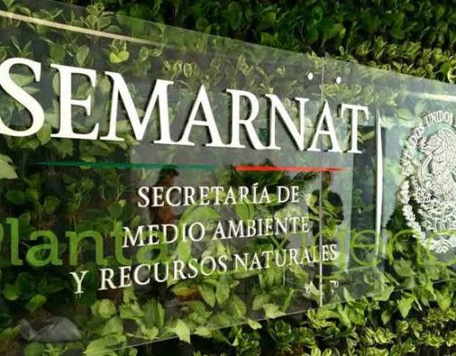 Condena GEMA descalificaciones de Semarnat a críticos y recuerda proyectos devastadores avalados por la autoridad