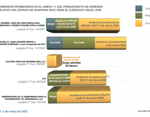 Logran asociaciones y ciudadanos suspensión provisional contra anexo 11 del Presupuesto del Congreso, sobre “Ayudas Sociales”