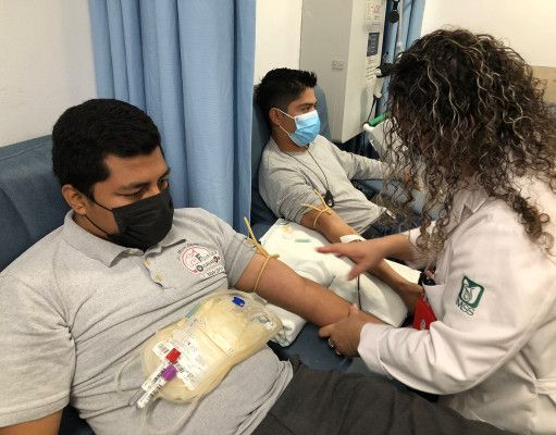 Inicia IMSS jornadas de donación de sangre para pacientes de cáncer infantil en Q. Roo