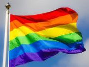 Pájaros en el Alambre | Deberán partidos reasignar candidaturas a diputados (de mayoría y representación proporcional) para incluir de la comunidad LGBTTTIQ+