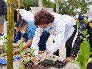 Realizan primera jornada de reforestación de las costas