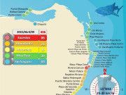 Viento y Frente Frío 41 despejan de sargazo las playas de QRoo