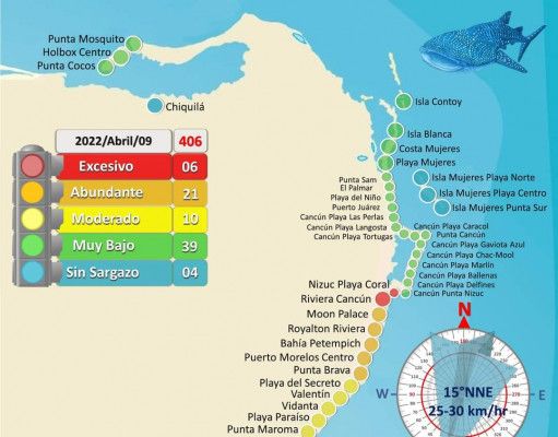 Viento y Frente Frío 41 despejan de sargazo las playas de QRoo