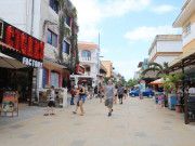Quinta Avenida vuelve a relucir en esta Semana Santa