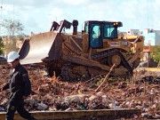 AMLO está mal asesorado sobre el Tren Maya; lo invitan a reunirse con ambientalistas