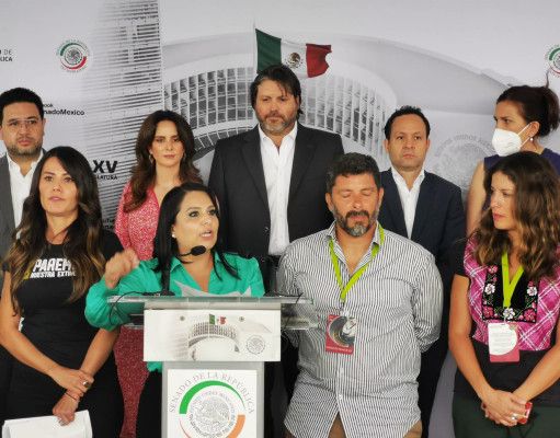 Especialistas advierten de una catástrofe por obras del Tren Maya
