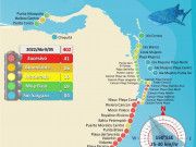 Así están las playas de Quintana Roo, según Red de Monitoreo del Sargazo