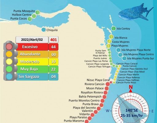 Se duplica el número de playas con recale excesivo de sargazo en QRoo