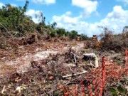 Impugna Fonatur suspensión de obra del Tren Maya; juez amplia termino hasta por 3 semanas
