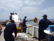 Instalan en Mahahual mil 400 metros de barrera para contener arribo de sargazo