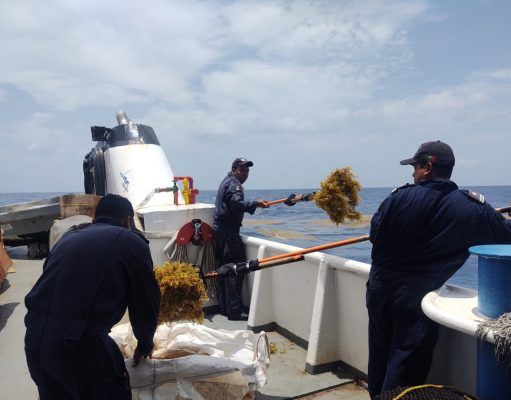 Instalan en Mahahual mil 400 metros de barrera para contener arribo de sargazo