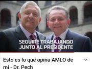 Jaguar Negro | Pech, una familia que vive del fake