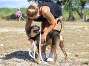 Incentivan entre solidarenses la adopción de perros y gatos