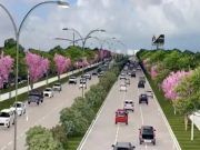 Rehabilitación del Blvd. Colosio iniciará el 16 de junio