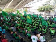 Cuenta PVEM con más de 4 mil representantes de casilla