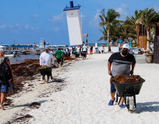 Se suman funcionarios de Puerto Morelos a recoja de sargazo