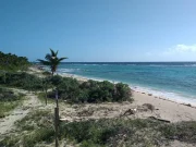 Piden anular Plan Ecológico de Quintana Roo