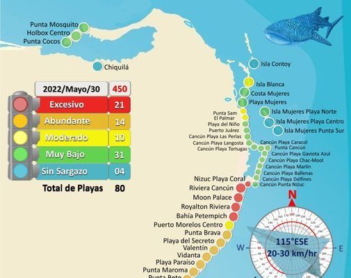 Inicia la semana con 21 playas con recale excesivo de sargazo