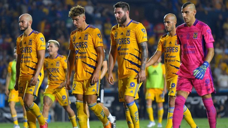 tigres