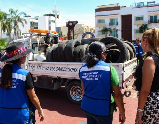 Realiza gobierno municipal de Solidaridad acciones para cuidar el medio ambiente