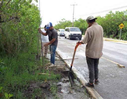 Brigadas de Servicios Públicos redoblan acciones de limpieza en Puerto Morelos
