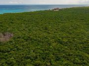 Asegura Fonatur que con Tren Maya habrán más áreas naturales