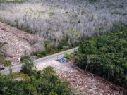 En fast track Semarnat aprueba MIA del tramo 5 sur del Tren Maya