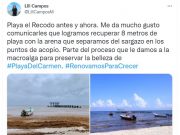 Liberan de sargazo 8 metros de playa en El Recodo