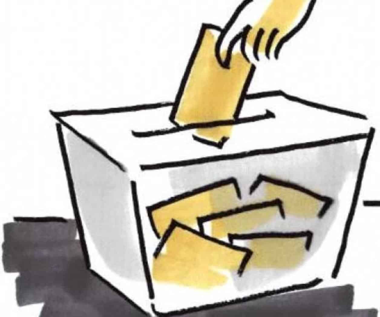 voto