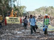 AMLO decreta “ocupación temporal” de 8 predios para el Tren Maya en Q. Roo