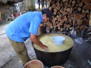 Se suma Quintana Roo a los estados de Península de Yucatán para impulsar el registro de Milpa Maya ante la FAO