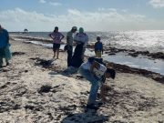 Organizan jóvenes de Puerto Morelos jornada de limpieza de playas