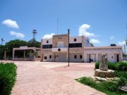 Pájaros en el Alambre | Tulum, la nueva distritación federal y el mensaje político