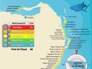 Da tregua sargazo y disminuye recale en Quintana Roo