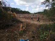 Califica ONG de “insatisfactoria” la consulta sobre MIA en tramo 5 del Tren Maya