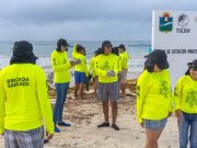 Avanza la instalación de 2,300 metros de barrera anti sargazo en Tulum