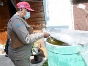 Se han eliminado más de 2 mil toneladas de cacharros como prevención contra dengue, zika y chikungunya: SSA