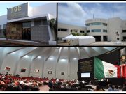 Jaguar Negro | Conflicto por transexenales: Magistrada, Fiscal y diputados