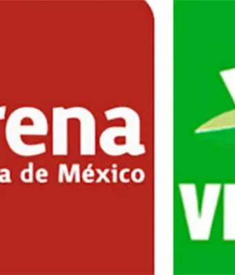 Pájaros en el Alambre | Lo del Verde en Quintana Roo…no puede volver a pasar