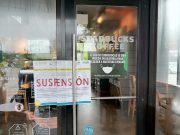 Suspenden autoridades cafetería de Cancún por tener cucarachas en su establecimiento