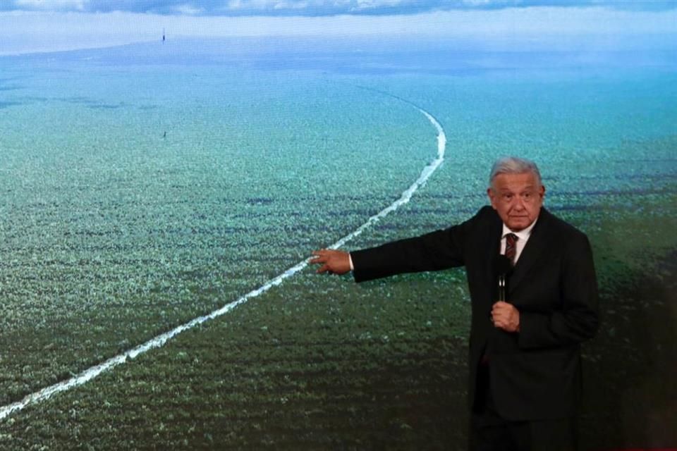 amlo