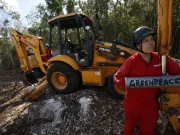 Pide Greenpeace negar permisos a obras del Tren Maya