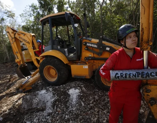 Pide Greenpeace negar permisos a obras del Tren Maya