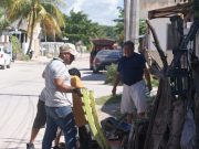 Puerto Morelos está libre de casos de dengue, según datos del Gobierno del Estado