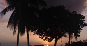 Aniversario 48 Quintana Roo | «Una tierra milenaria y enigmática, salvaje y cosmopolita a golpe de peregrinajes»: Pedro Flota, ex diputado